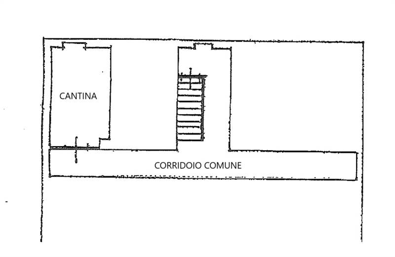 PLANIMETRIA CANTINA